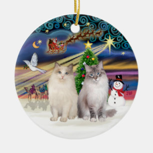 Weihnachtsmagie - Zwei Ragdoll-Katzen Keramikornament