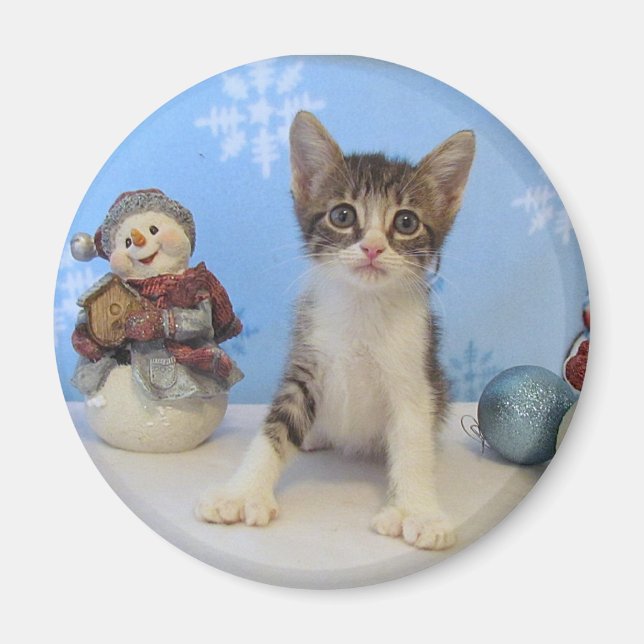 Weihnachtsmagnet - Katze / Kitten Magnet (Vorne)