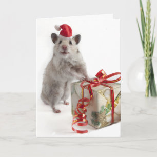 Weihnachtsmann-Hamster mit Geschenk Feiertagskarte