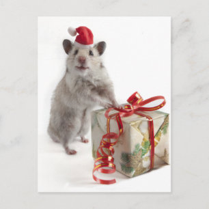 Weihnachtsmann-Hamster mit Geschenk Feiertagspostkarte