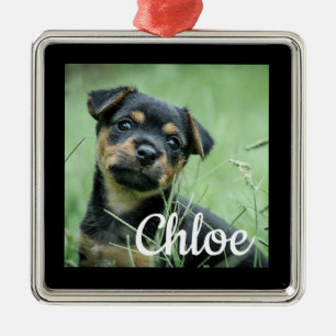 Weihnachtsmann Ornament Hunde Katze Kleine Welpe Aus Metall