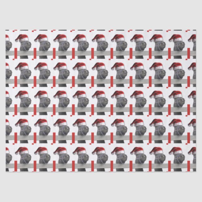 Weihnachtsmann Seidenpapier (Vorderseite)