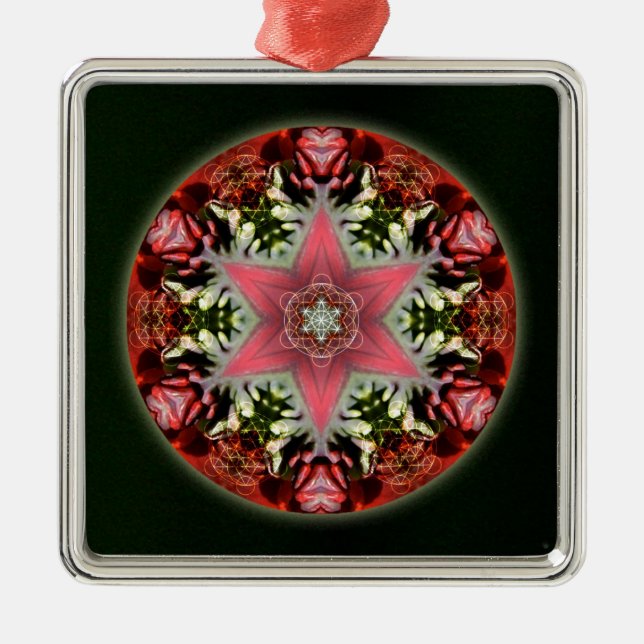 Weihnachtsmann Silbernes Ornament (Vorne)