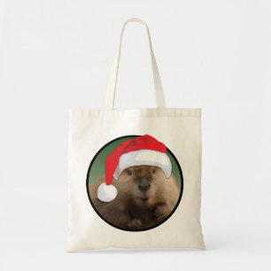 Weihnachtsmann - Tasche des Haushalts