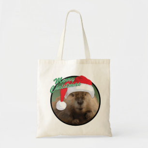 Weihnachtsmann - Tasche des Haushalts