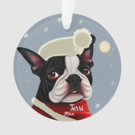 Weihnachtsmann, Weihnachten, Hundeverzierung Ornament