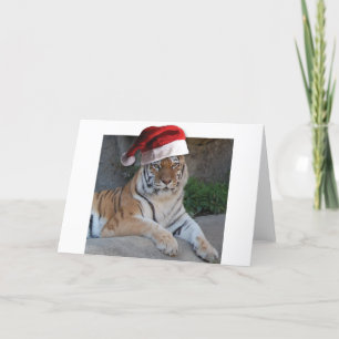 Weihnachtsmannmütze Bengalisch Tiger Feiertagskarte