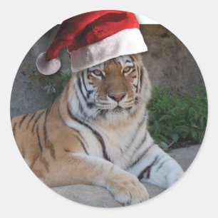 Weihnachtsmannmütze Bengalisch Tiger Runder Aufkleber