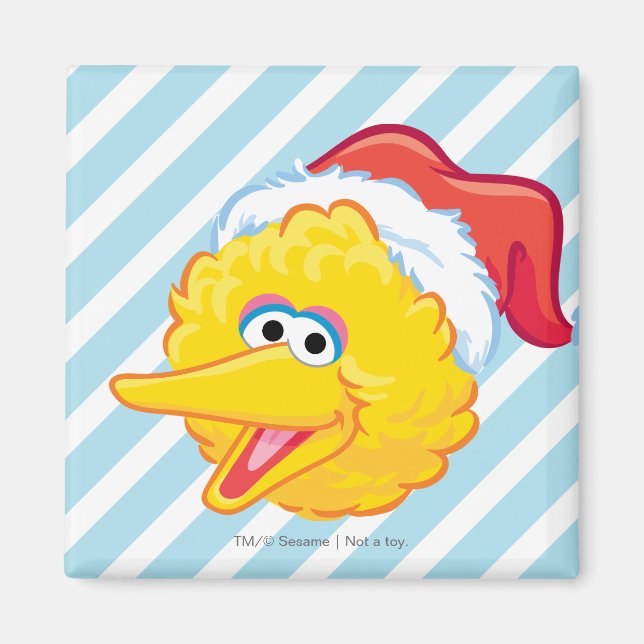 Weihnachtsmannmütze Big Bird Magnet (Vorne)