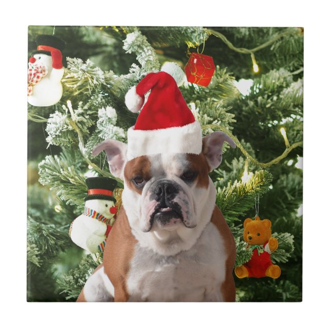 Weihnachtsmannmütze Bulldog Christmas Tree Snowman Fliese (Vorderseite)