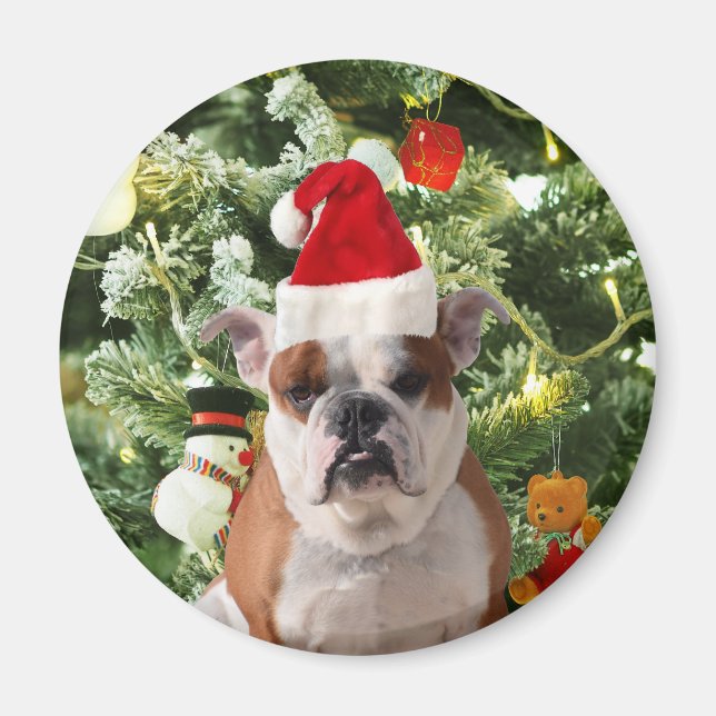 Weihnachtsmannmütze Bulldog Christmas Tree Snowman Magnet (Vorne)