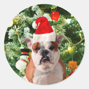 Weihnachtsmannmütze Bulldog Christmas Tree Snowman Runder Aufkleber