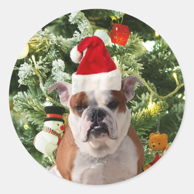 Weihnachtsmannmütze Bulldog Christmas Tree Snowman Runder Aufkleber (Vorderseite)