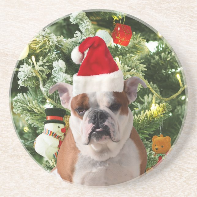Weihnachtsmannmütze Bulldog Christmas Tree Snowman Sandstein Untersetzer (Vorne)