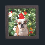 Weihnachtsmannmütze Bulldog Christmas Tree Snowman Schmuckkiste<br><div class="desc">Niedliches Bulldog Foto mit der Weihnachtsbaum Snowman Geschenkboxen im Hintergrund. Ein perfektes Geschenk für Weihnachten!</div>