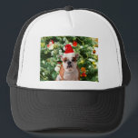 Weihnachtsmannmütze Bulldog Christmas Tree Snowman Truckerkappe<br><div class="desc">Niedliches Bulldog Foto mit der Weihnachtsbaum Snowman Geschenkboxen im Hintergrund. Ein perfektes Geschenk für Weihnachten!</div>