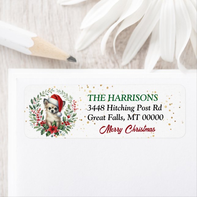 Weihnachtsmannmütze Chihuahua Dog Wreath Weihnacht (Insitu)