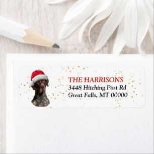Weihnachtsmannmütze German Shorthair Pointer Rücks