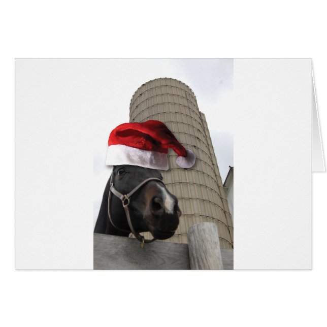 Weihnachtsmannmütze Horsey (Vorderseite (Horizontal))