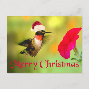 Weihnachtsmannmütze Hummingbird Weihnachten