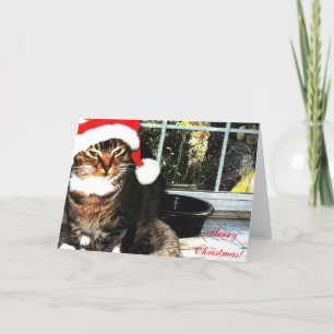 WEIHNACHTSMANNMÜTZE II FEIERTAGSKARTE