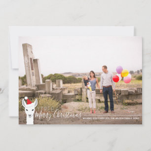 Weihnachtsmannmütze Llama Foto Weihnachten