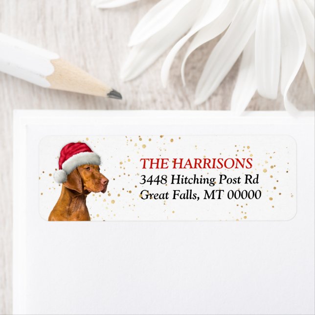 Weihnachtsmannmütze Vizsla Dog Rücksendeadresse (Insitu)
