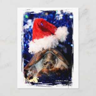 Weihnachtsmannmütze-Weihnachtsfeier Feiertagspostkarte