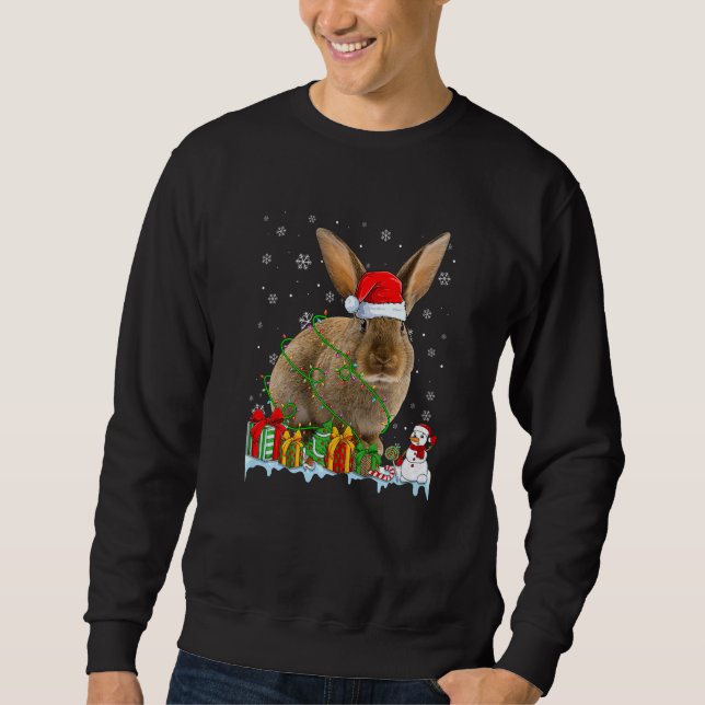Weihnachtsmannmütze WeihnachtsLICHT Tiere Sweatshirt (Vorderseite)