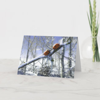 Weihnachtsmarienkäfer Feiertagskarte