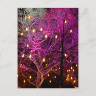 Weihnachtsmarkt-Lichter in Köln Postkarte