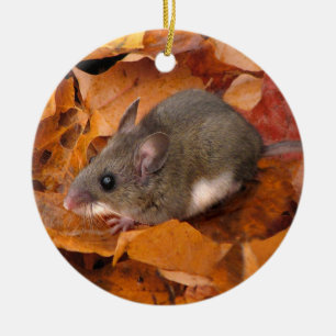 Weihnachtsmäuseverzierung Keramikornament