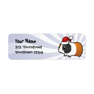 Weihnachtsmeerschweinchen (glattes Haar)