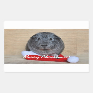 Weihnachtsmeerschweinchen Rechteckiger Aufkleber