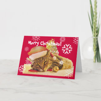 WeihnachtsMiezekatze Feiertagskarte
