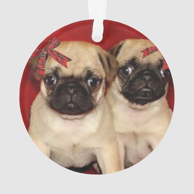 WeihnachtsMopswelpen Ornament (Rückseite)