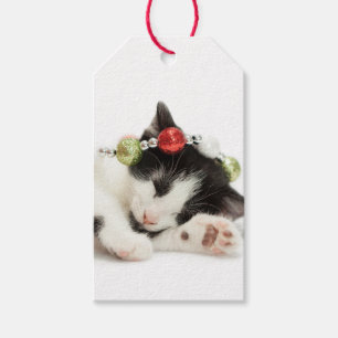 Weihnachtsmorgen-Kätzchen Geschenkanhänger