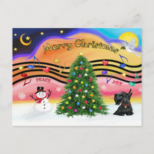 Weihnachtsmusik 2 - Schottischer Terrier 12 Feiertagspostkarte