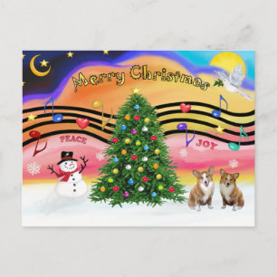Weihnachtsmusik 2 - Welsh Corgi (2 Pembroke) Feiertagspostkarte