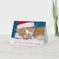 Weihnachtsmütze für Tabbykatze