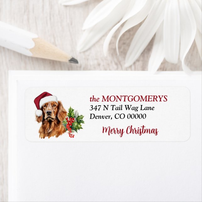 Weihnachtsmütze Irish Setter Rücksendeadresse (Insitu)