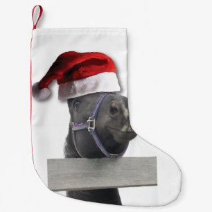 Weihnachtspferd Kleiner Weihnachtsstrumpf