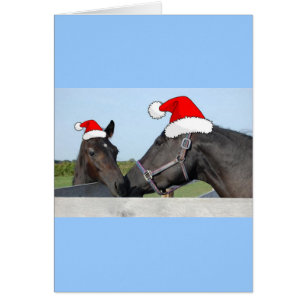 Weihnachtspferd und Poney