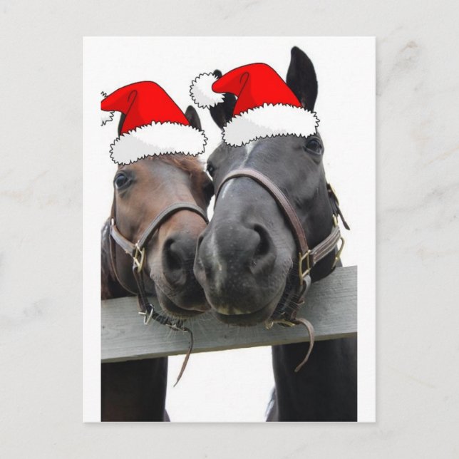 Weihnachtspferde Feiertagspostkarte (Vorderseite)