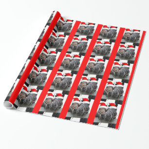 Weihnachtspferde Geschenkpapier