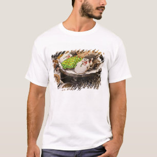 Weihnachtsplätzchen auf Anzeige in einem New York T-Shirt