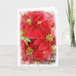 Weihnachtspoinsettia Feiertagskarte
