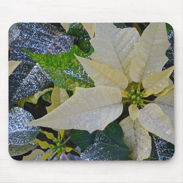 Weihnachtspoinsettie Mousepad (Vorne)