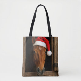 Weihnachtspony im Stallfenster