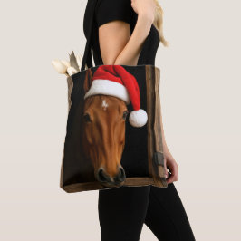 Weihnachtspony im Stallfenster